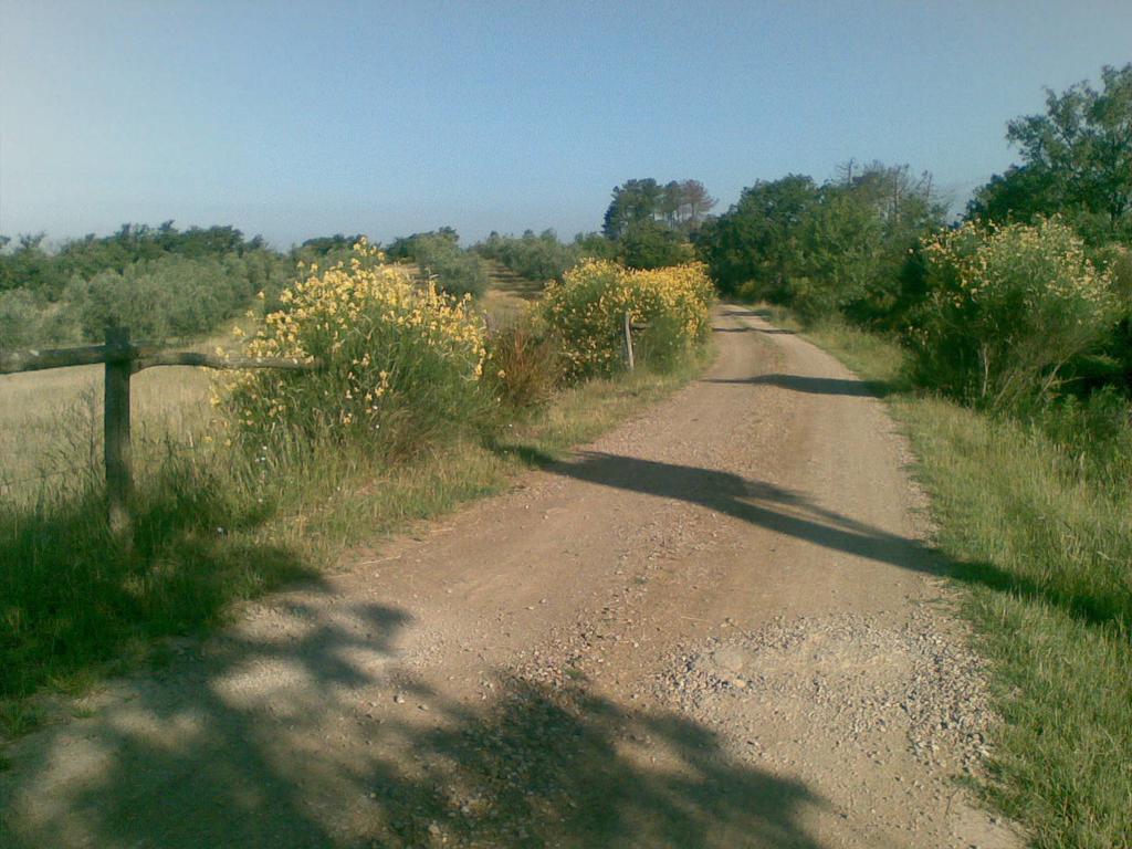 Rapale 波迪尔坎博维奇奥旅馆旅馆 外观 照片
